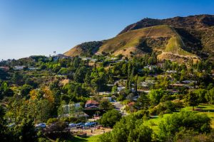 hollywood hills