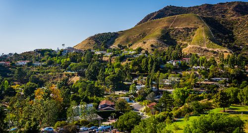 hollywood hills