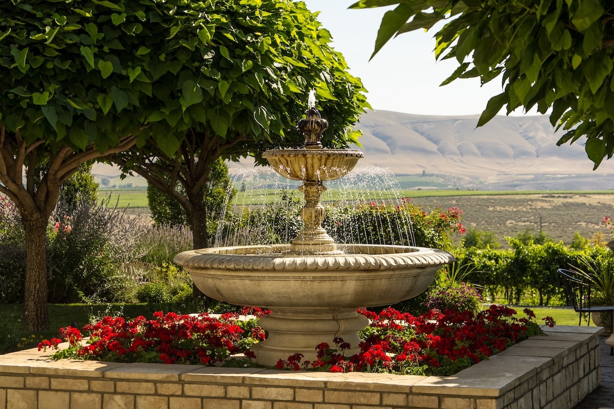 Luxurious fountain in garden with beautiful views